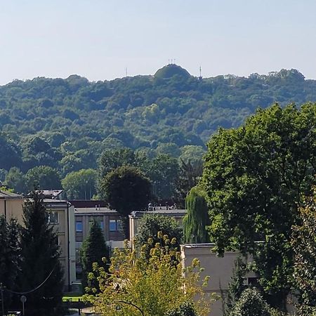 Apartament Salwator Falata Krakow Luaran gambar